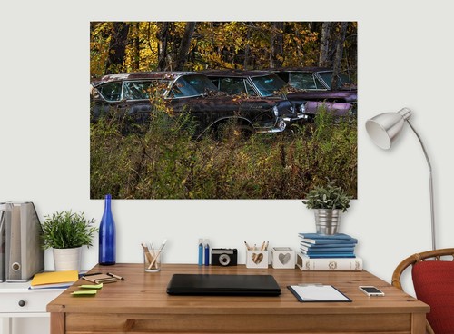 Scrap car forest - forest, zhu403
