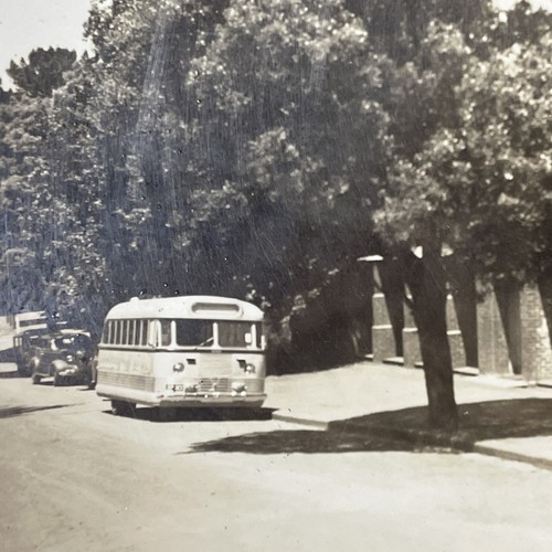 Original vintage photo - photo, b&w