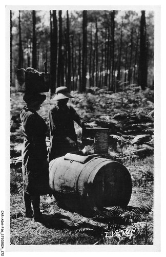 Car adap16 1001 - car-adap16-1001-40, harvesting