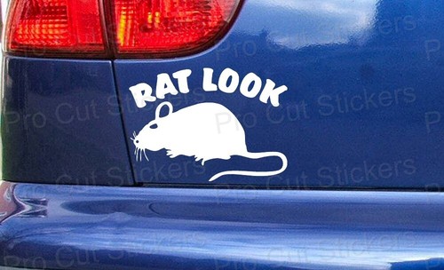 Rat look funny custom - rat,