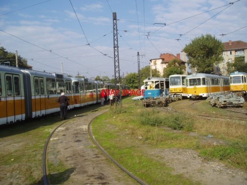 Photo romania timisoara tram - romania,
