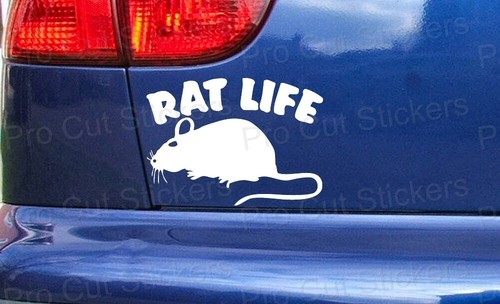 Rat life funny custom car - funny,