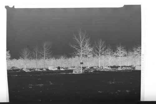 Press photo negative - (3), b&w
